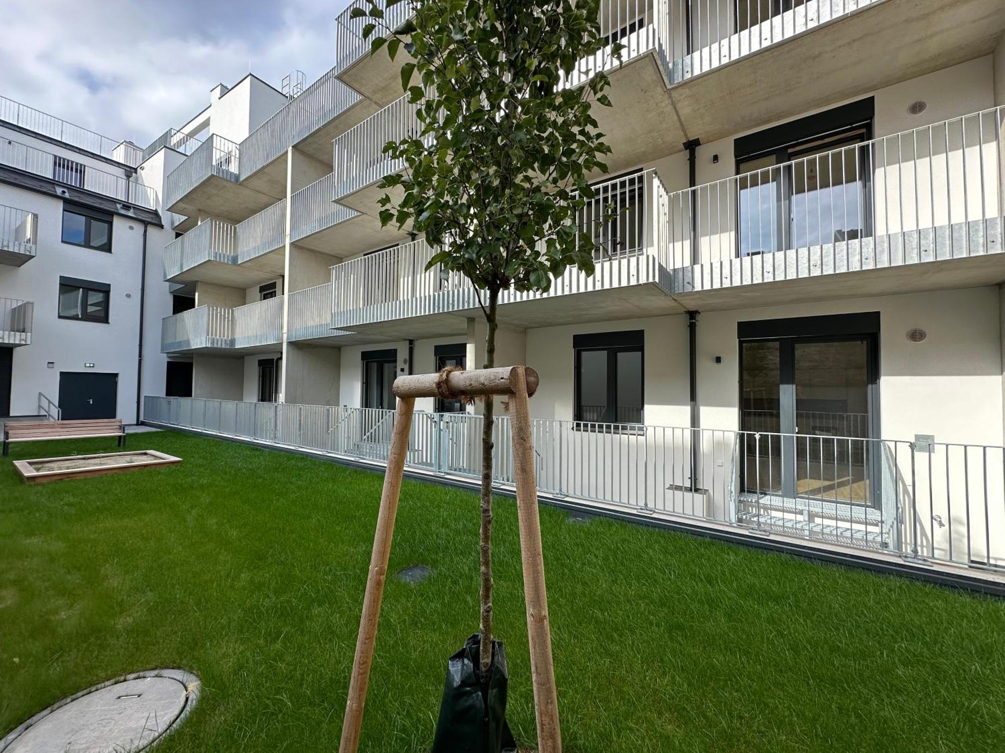 Schoenbrunn Garden Apartments Vienna Esterno foto